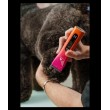Tondeuse Pro ANDIS ABC-1 animal, spécial salons de toilettage et concours, 150 minutes d'autonomie