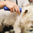 Comment choisir sa tête de coupe ?